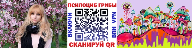 Псилоцибиновые грибы Cubensis  это наркотические препараты  Нижний Новгород 